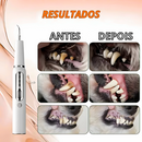 Tratamento Dental Pet | Caneta, Lavizoo e Ultrassônico – Meu Pet