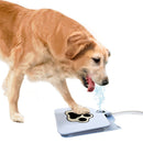 Bebedouro Brinquedo Interativo para Cães de Metal – Água Fresca ao Acionar a Pata | Meu Pet