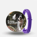 Coleira Anti Pulgas, Carrapatos e Mosquitos 100% Natural – Proteção até 8 Meses | Meu Pet