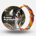 Coleira Anti Pulgas, Carrapatos e Mosquitos 100% Natural – Proteção até 8 Meses | Meu Pet