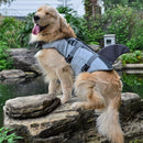 Colete Salva-Vidas para Cães e Gatos – OceanWave™