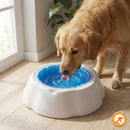 Tigela Gelada para Cães e Gatos – Água Sempre Fresquinha | Meu Pet