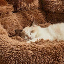Cama Anti Ansiedade Formato Pata para Cachorro e Gato Pawzy