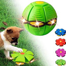 Bola Mágica Interativa com Luzes para Pets – Diversão Sem Fim |Meu Pet