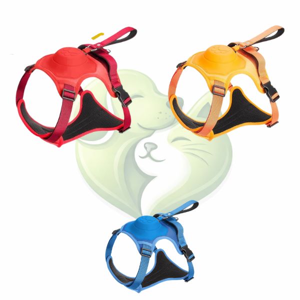 Coleira Retrátil com Guia para Cães de Médio e Grande Porte - Petzo™