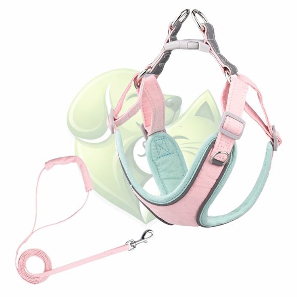 Coleira & Guia - Petive™