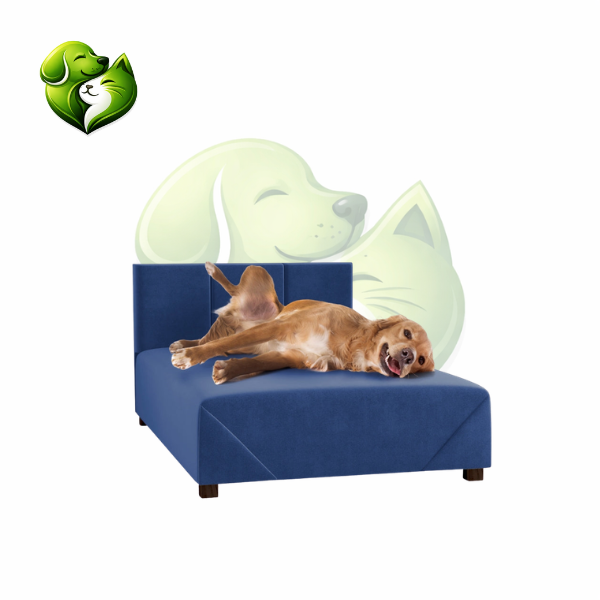 Cama Box Conforto Firme com Estrutura de Madeira para Cachorro e Gato Lupzy