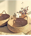 Cama Cesto para Gatos em Fibra Natural com Almofada – Snouty™ | Aconchego, Estilo e Conforto Natural
