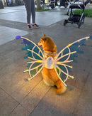 Asas de Borboleta Pet Brilhante -Kinect™