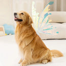 Asas de Borboleta Pet Brilhante -Kinect™