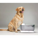 Bebedouro Automático 7L com Sensor Elevado Sem Fio para Cachorro e Gato Aço Inox Sorrino