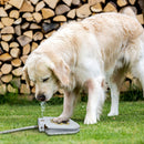 Bebedouro Brinquedo Interativo para Cães de Metal – Água Fresca ao Acionar a Pata | Meu Pet