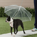 Guia com Guarda-chuva Tour - Barkify™