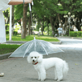 Guia com Guarda-chuva Tour - Barkify™