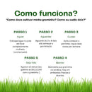 Graminha Natural para Gatos – Bem-estar, estímulo e alívio do estresse